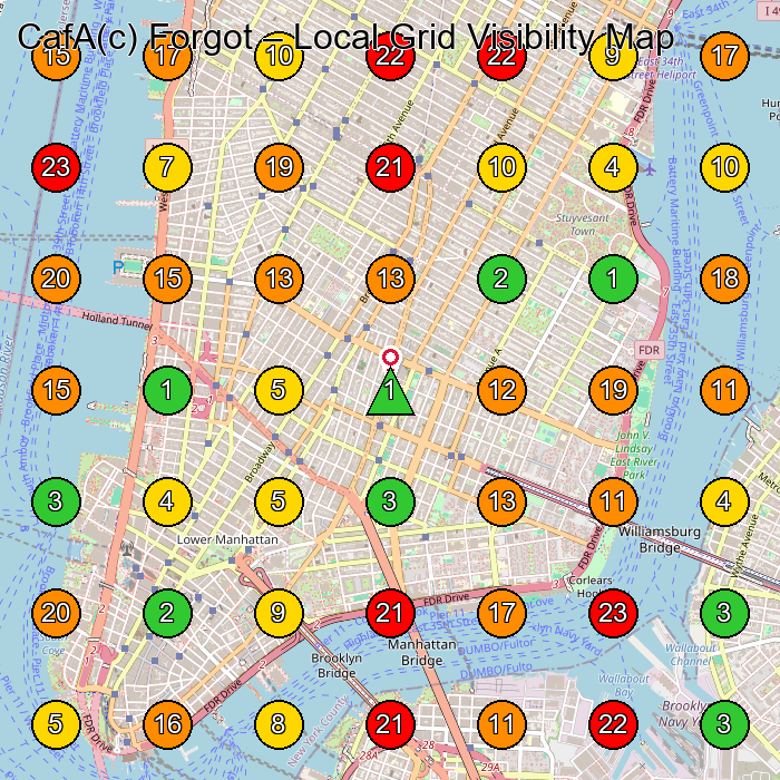 CafA(c) Forgot Clothing Store GeoGrid ranking map for New York NY